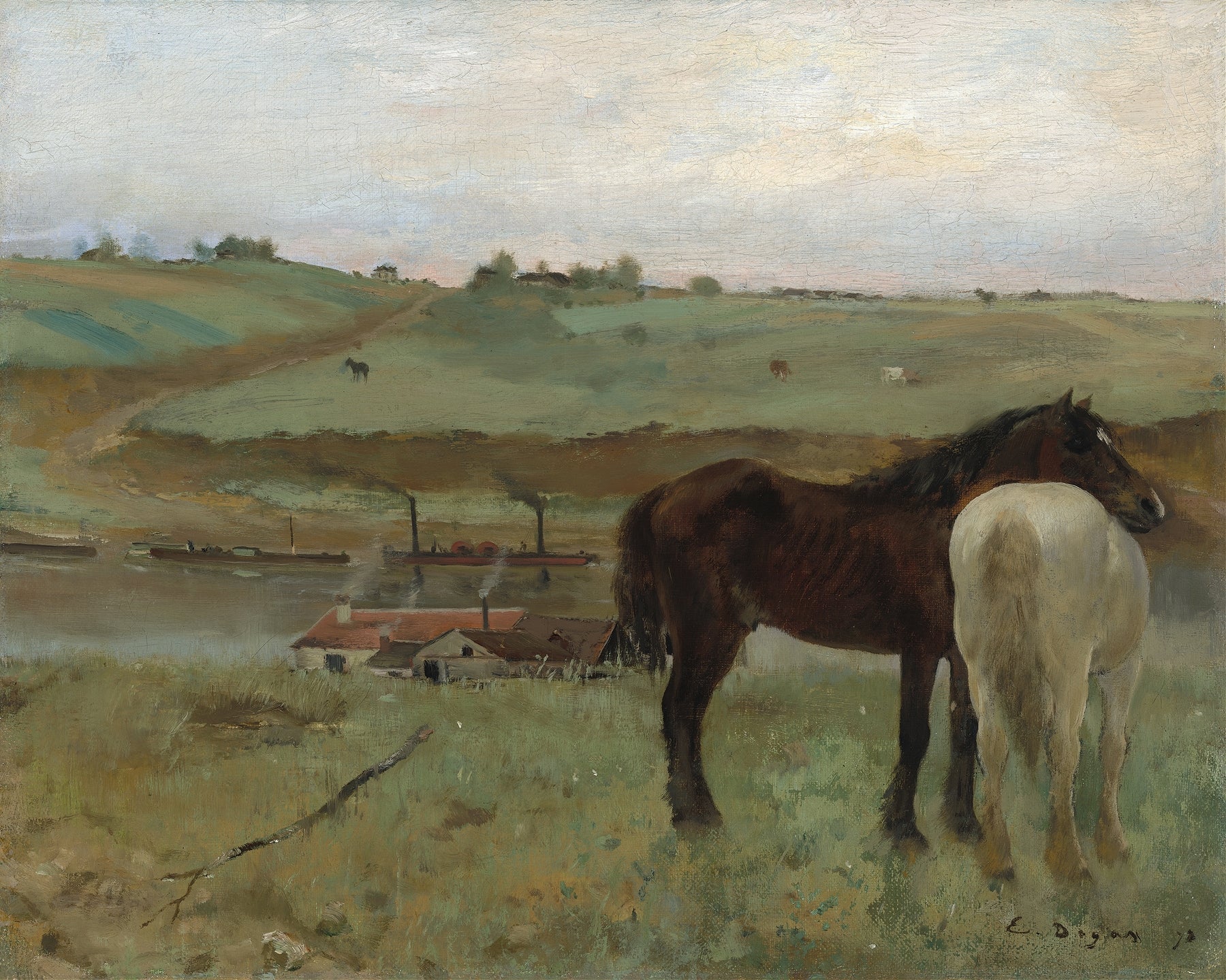 Animals